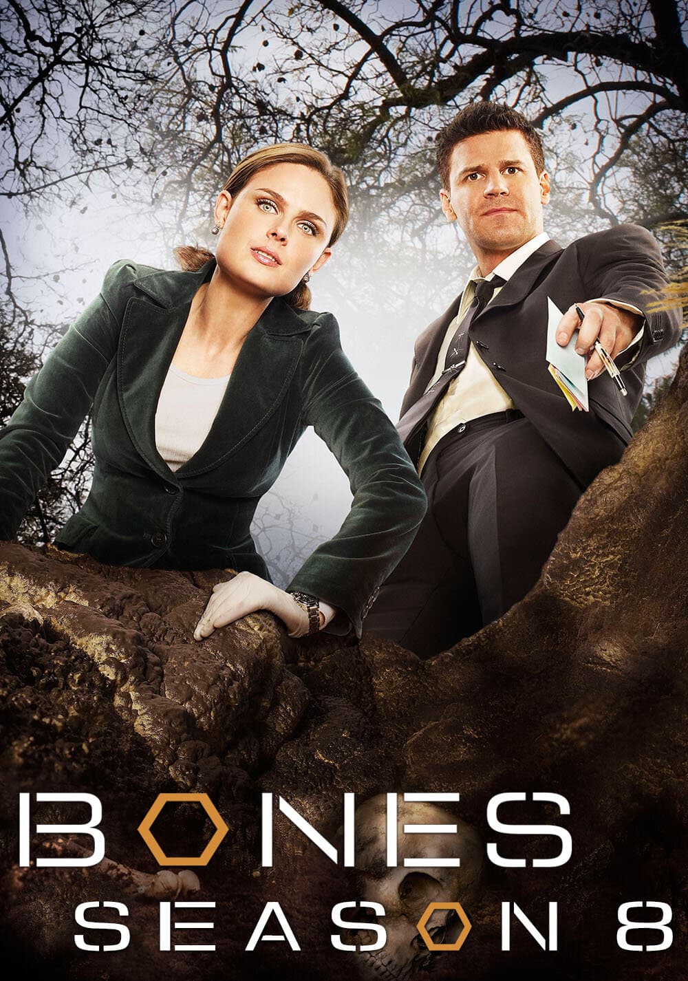 Season 8