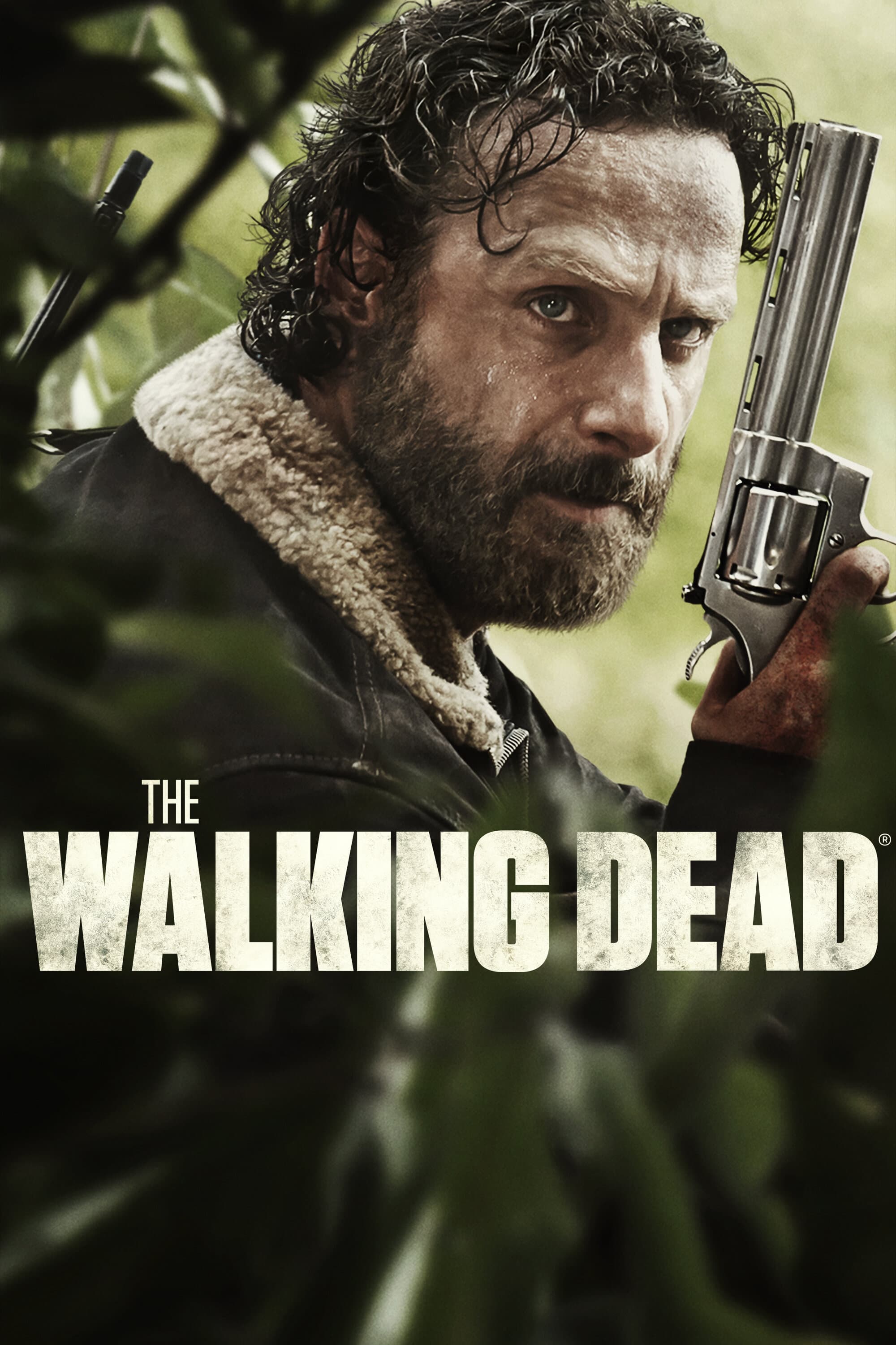 Season 5